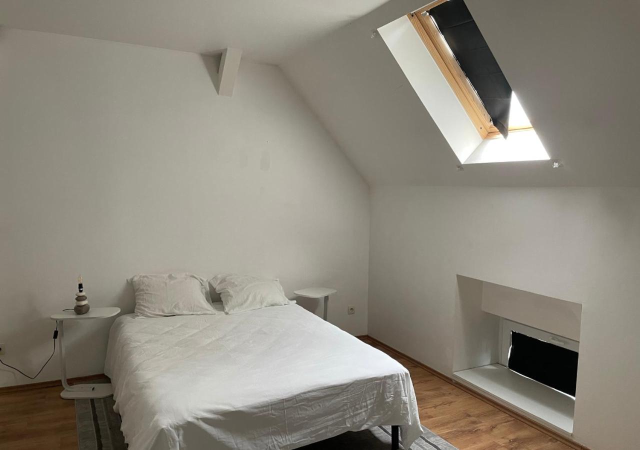 Le Wolf - 1 Chambre Privee Dans Un Appartement - 5Mn Tram Du Centre Ville - 15Mn Tram Gare Tgv Mulhouse - Wifi - Parking Exterior foto